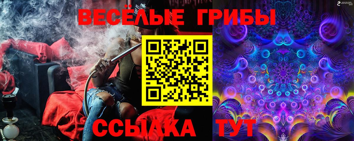 Галлюциногенные грибы Cubensis Малоярославец